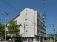 S51771-ｺｽﾓｴﾙ下鴨の画像