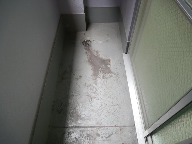 【バルコニー】 | セルメ山坂