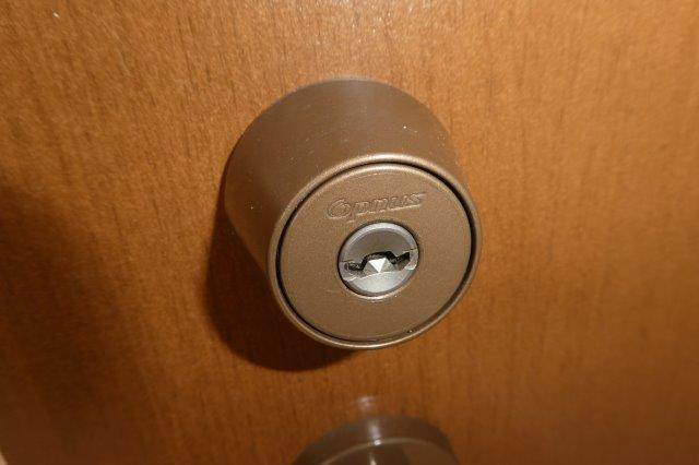 プラシードＡのセキュリティ|オプナスキー