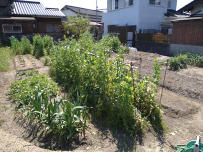 【外観】 | 柳井・柳井中近く