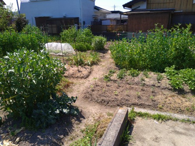 【外観】 | 柳井・柳井中近く