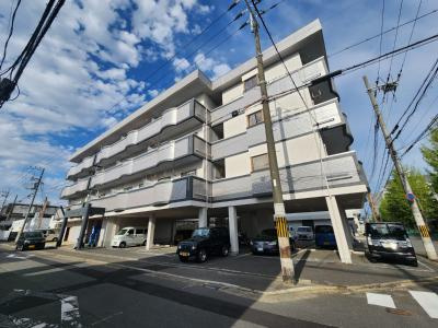 第二グレース安田