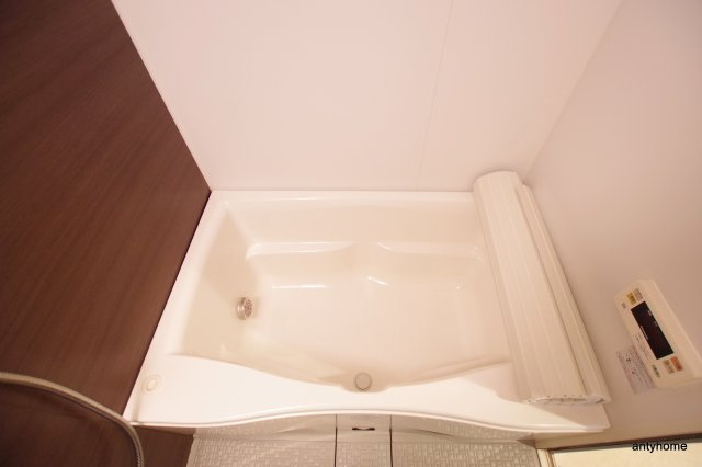 ラウレアのその他