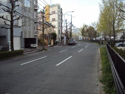 STRUCTURE鴨川紫明（ストラクチャー鴨川紫明）の周辺|前面道路