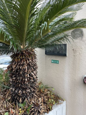 【外観】 | チュリス若松 | 建物外観を気になさる方へ、見た目の良い物件です