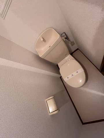 バージンブリッジのトイレ