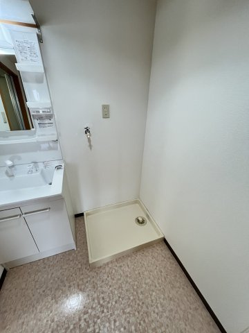 スカイマンションＣの洗面所