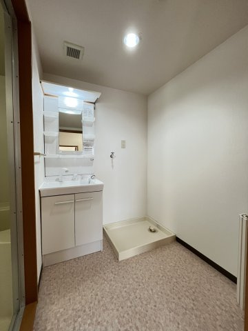 スカイマンションＣの洗面所