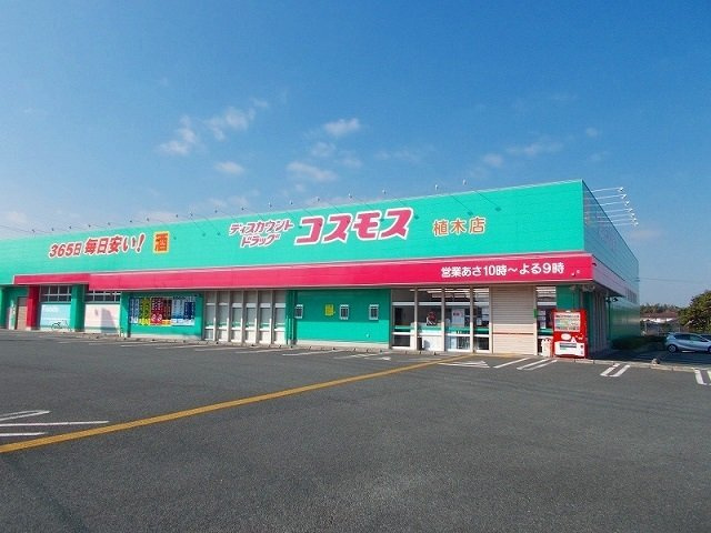 エール正林Ａの周辺|コスモス　植木店まで480m