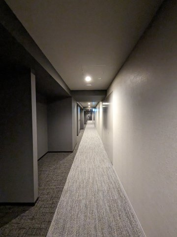 エクセレント　ザ　タワーのその他共用部分|共用内廊下