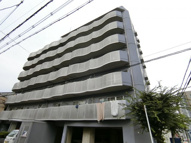 パナ・ドルチェの画像