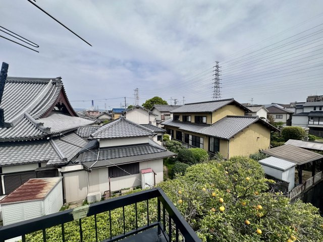 【展望】 | TC天美北