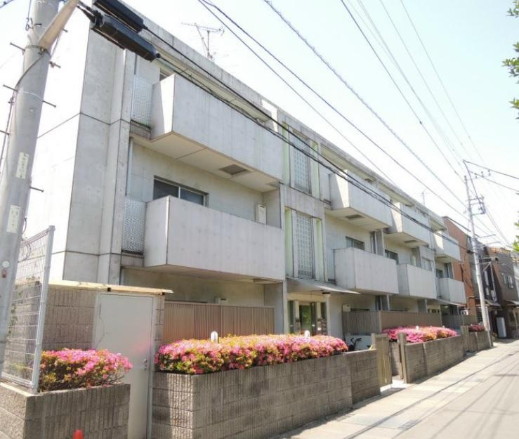 コージーコート