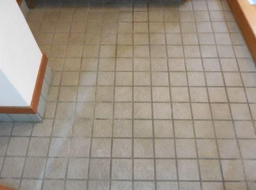 川崎市多摩区枡形１丁目の賃貸マンションの玄関