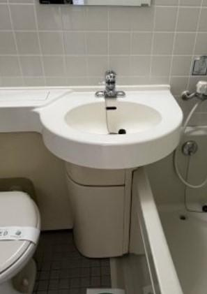 ロイヤルアーバン駒場東大の洗面所