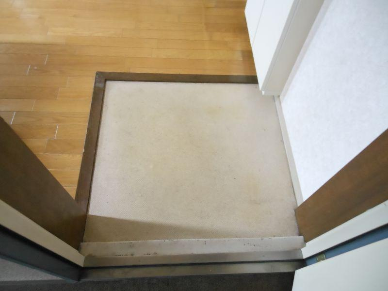 ニューフォレストの玄関