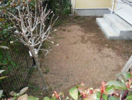 エミネント　ヴィラの庭