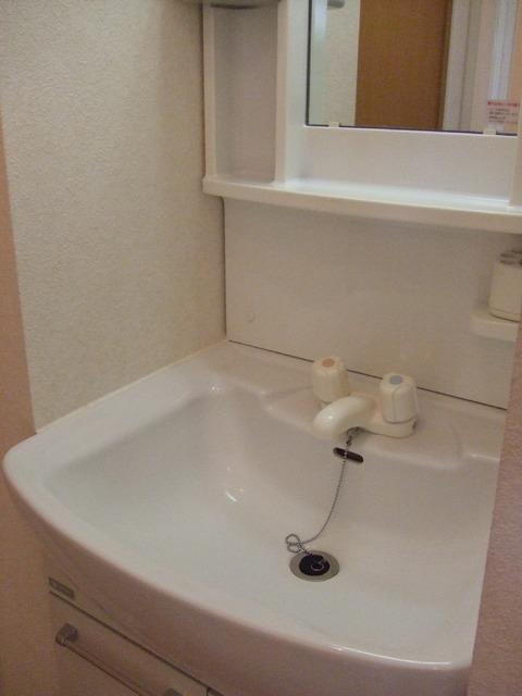 ヒルサイド玉川学園の洗面所