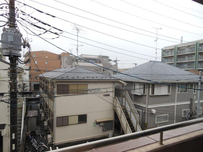 ニューフォレストの展望