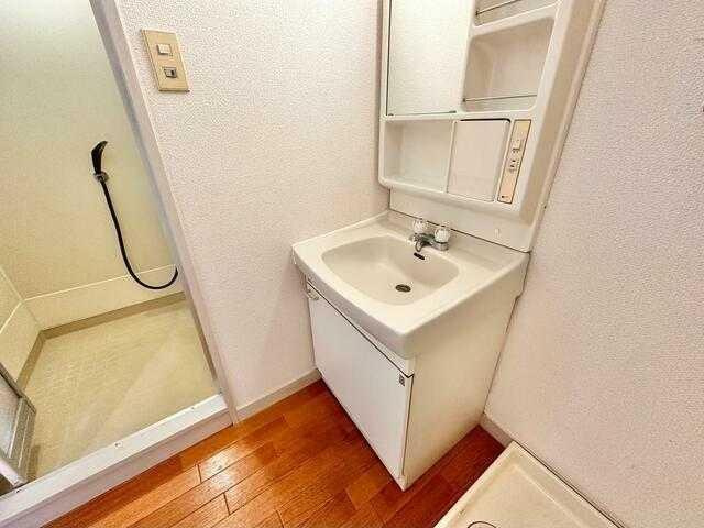 ガーデンハウスオオクラの洗面所