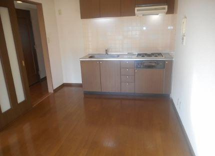 川崎市多摩区宿河原３丁目の賃貸マンションのキッチン