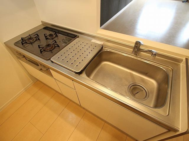 川崎市多摩区菅４丁目の賃貸マンションのキッチン