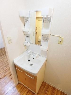 川崎市多摩区東生田２丁目の賃貸マンションの洗面所