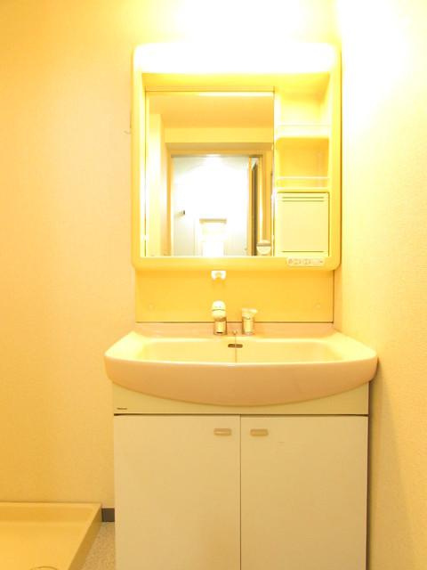 キャッスルコンフォートの洗面所