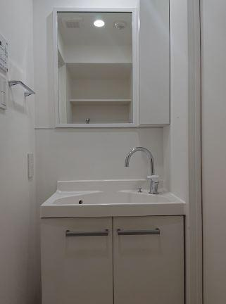 川崎市多摩区宿河原３丁目の賃貸マンションの洗面所