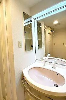 スターロワイヤル向ヶ丘遊園の洗面所