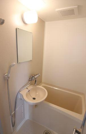 ルミエール生田の洗面所