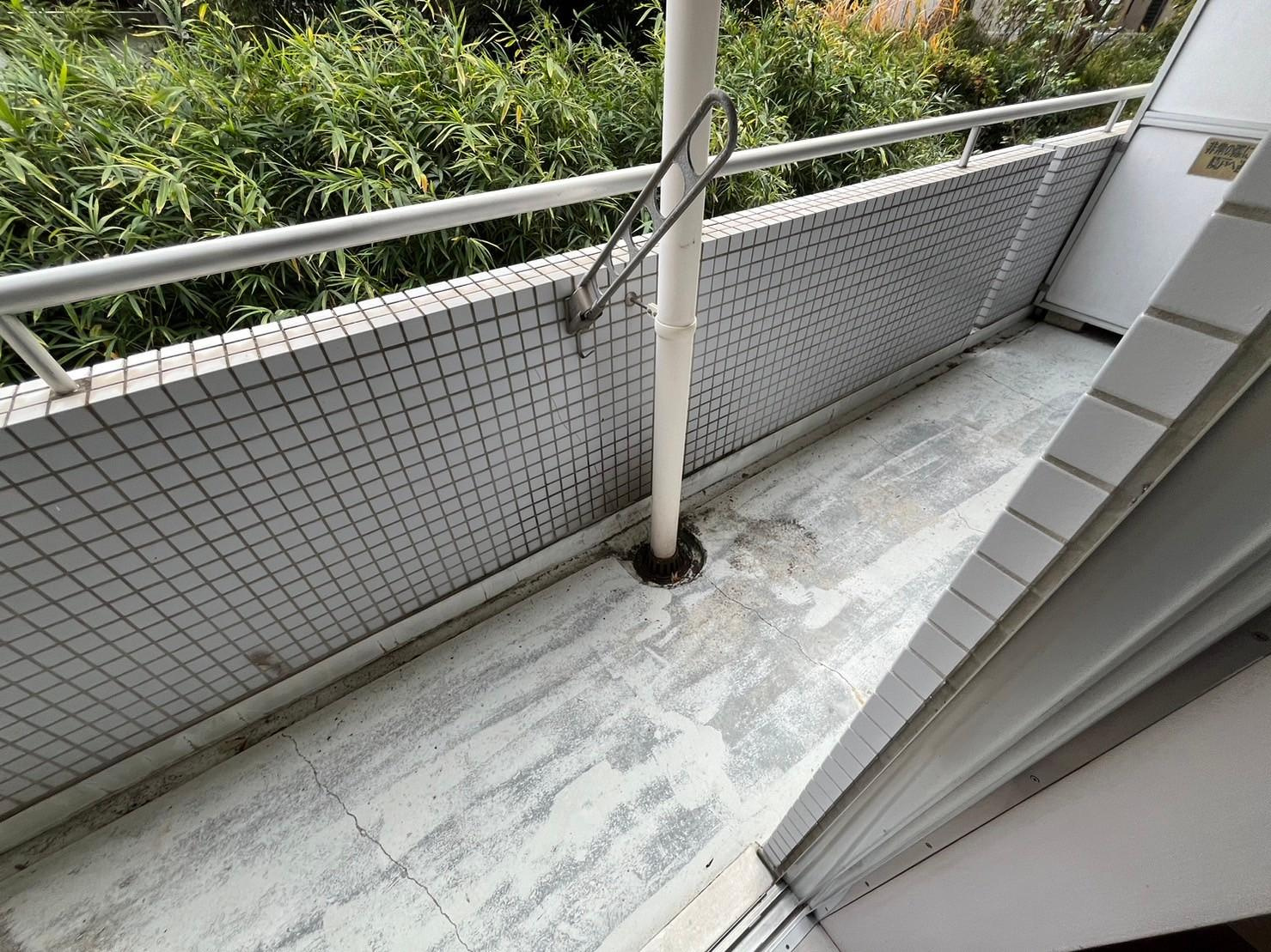 川崎市多摩区菅５丁目の賃貸マンションのバルコニー
