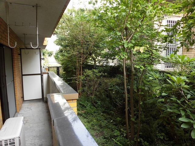 ビラ多摩川の展望