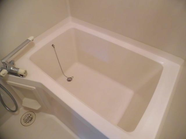 ビラ多摩川の浴室