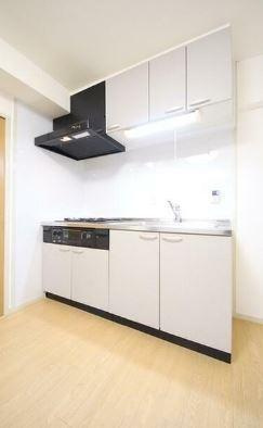 ドミール生田のキッチン