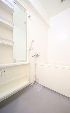 ドミール生田の浴室