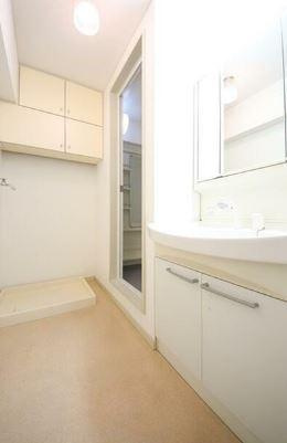 ドミール生田の洗面所