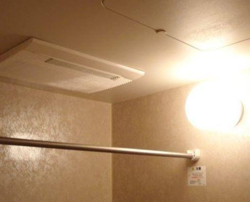 ブエナスエルテのその他