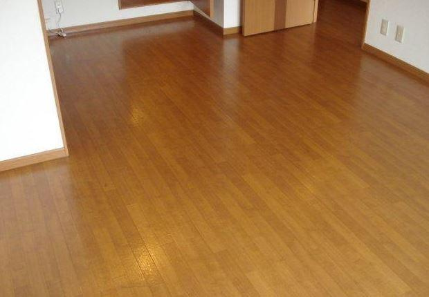 ブエナスエルテの居間・リビング