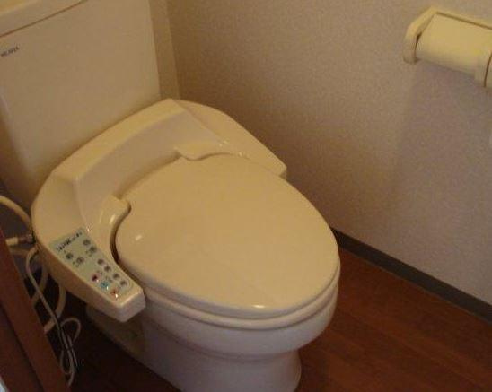 ブエナスエルテのトイレ