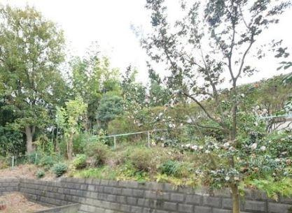 生田スカイハイツの展望