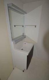 川崎市多摩区菅２丁目の賃貸マンションの洗面所