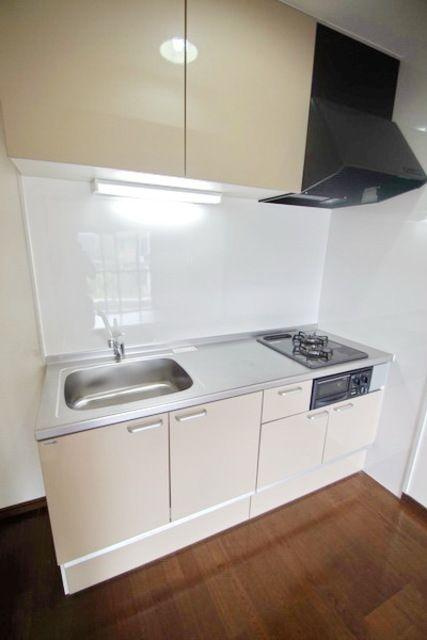 川崎市多摩区菅２丁目の賃貸マンションのキッチン