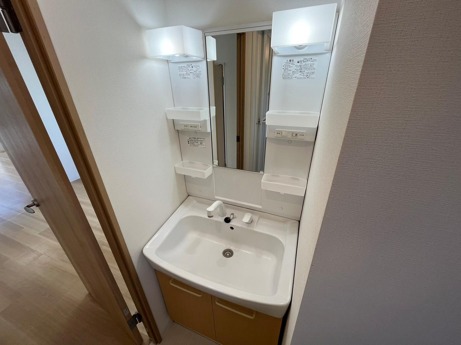 川崎市多摩区登戸新町の賃貸マンションの洗面所