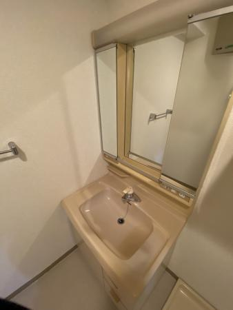 ベルメゾン町田の洗面所