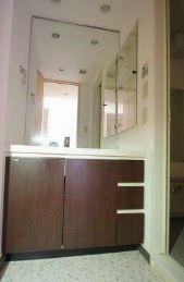 川崎市多摩区登戸の賃貸マンションの洗面所