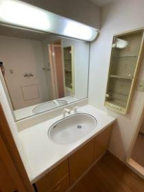 川崎市多摩区宿河原１丁目の賃貸マンションの洗面所