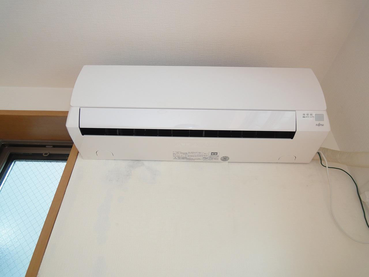 アムール・セイカのその他