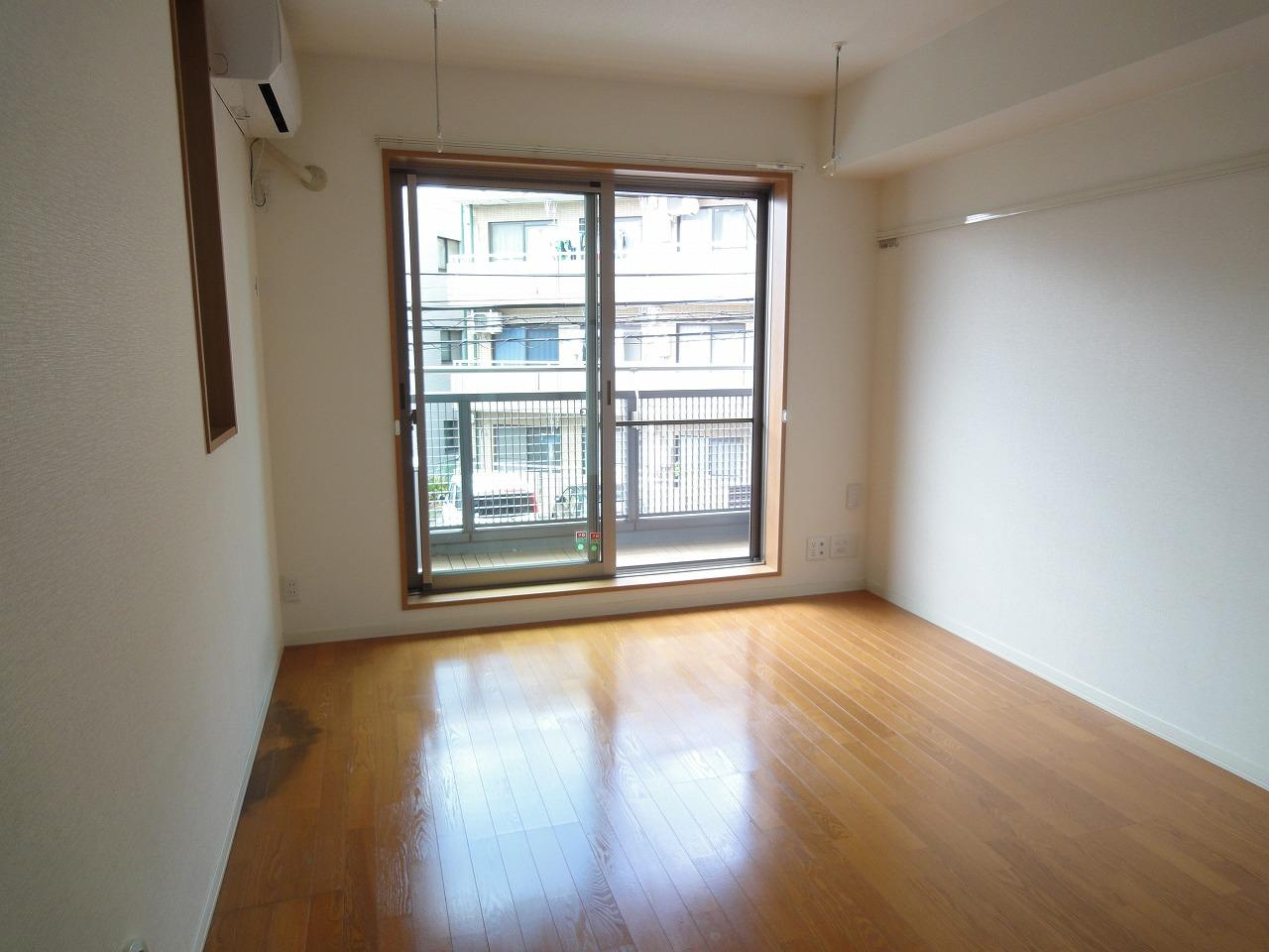 アムール・セイカのその他