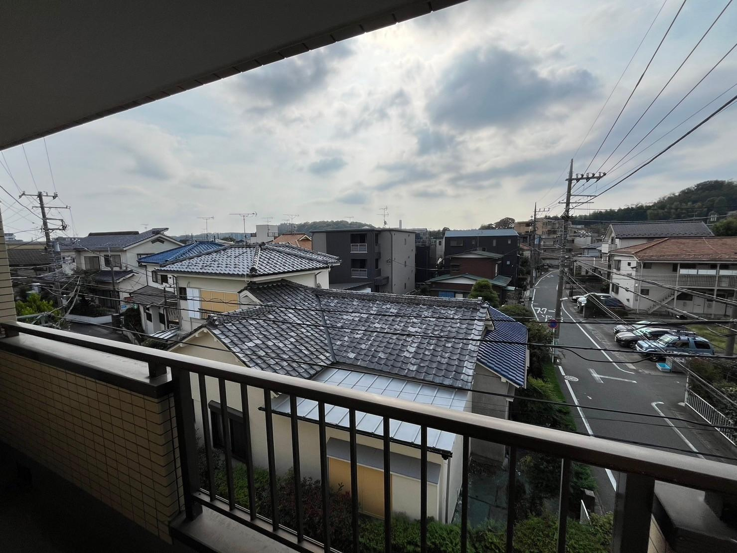 リベウツギの展望